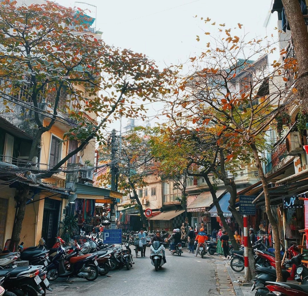 Bài thơ về phố cổ Hà Nội Lang thang chiều Hà Nội