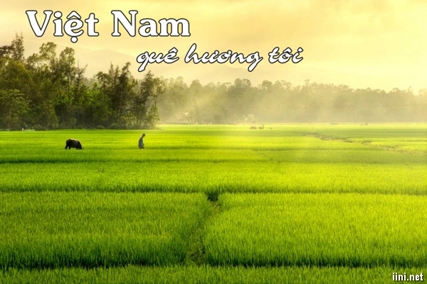 Nụ cười bé thơ vang giữa Quê hương yên bình