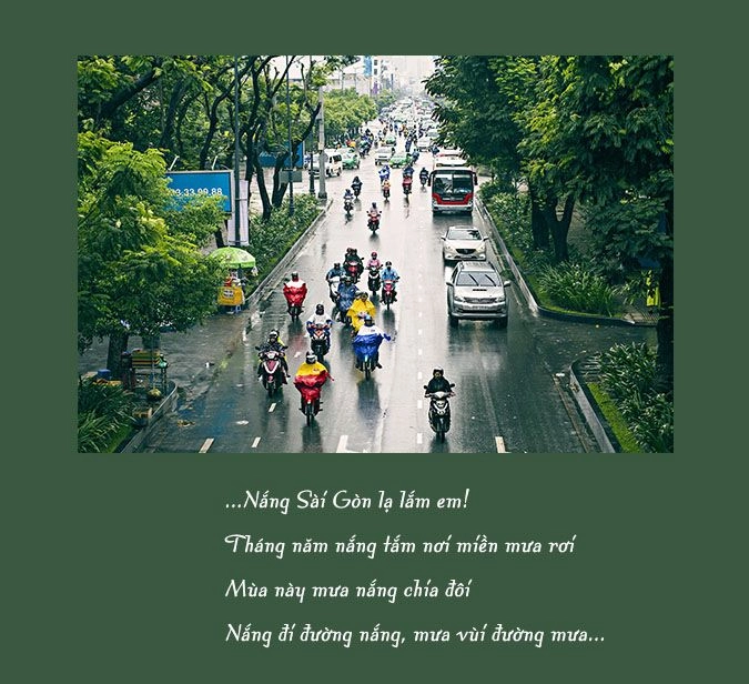 Ngập nắng dịu dàng buổi sáng Sài Gòn