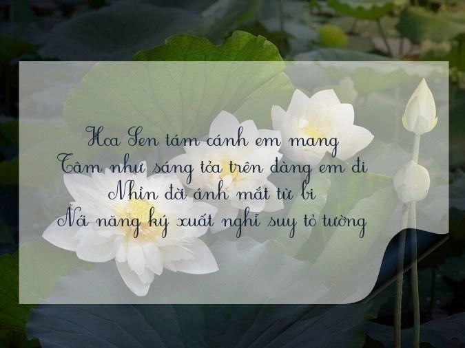 Hương sen trắng dịu dàng trải khắp bài thơ về sen