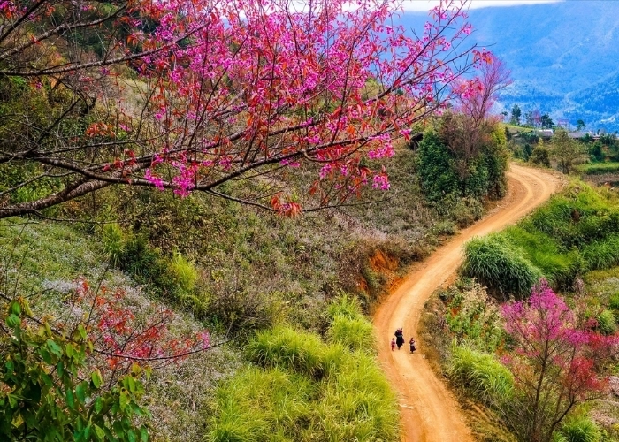 Lặng nghe tiếng gọi từ Xuân bản Thàn trong gió