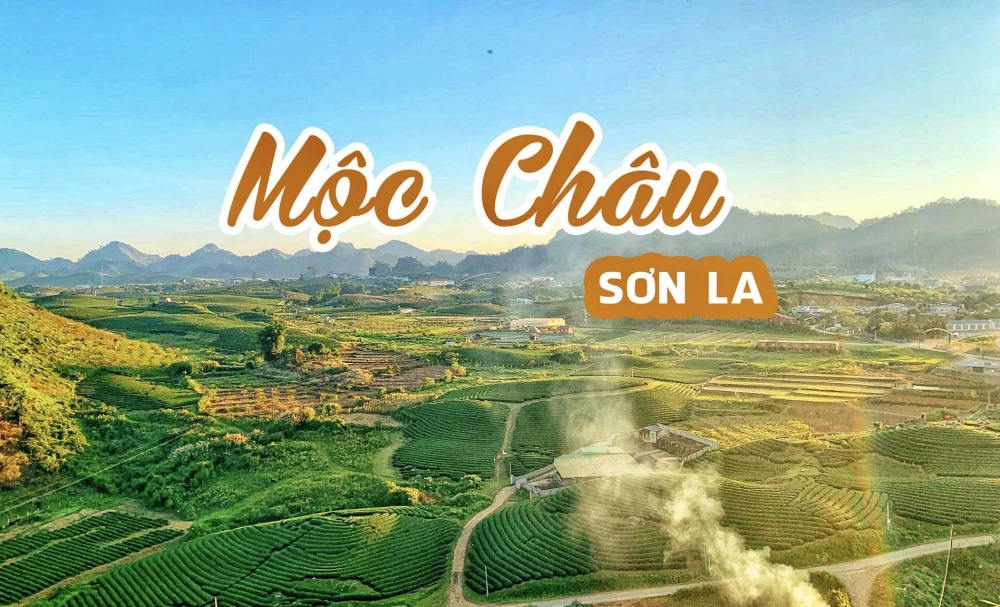 Sớm mai trên Cao nguyên Mộc Châu yên bình