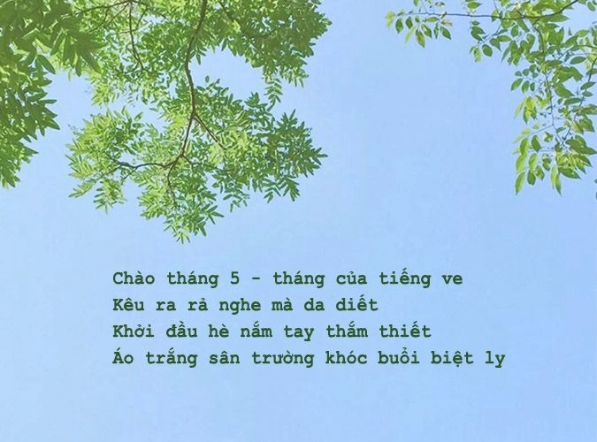 Thơ về tháng 5 bắt đầu bằng lời Chào tháng 5