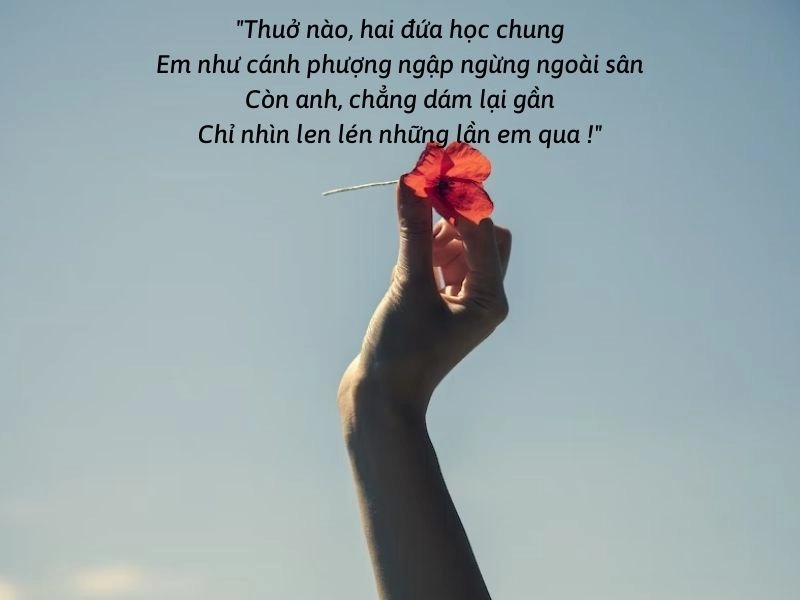 Thơ về tháng 5 gắn liền Tháng năm và hạ