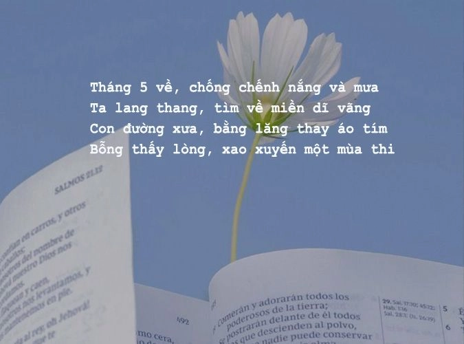 Thơ về tháng 5 nồng nàn Hương tình tháng 5