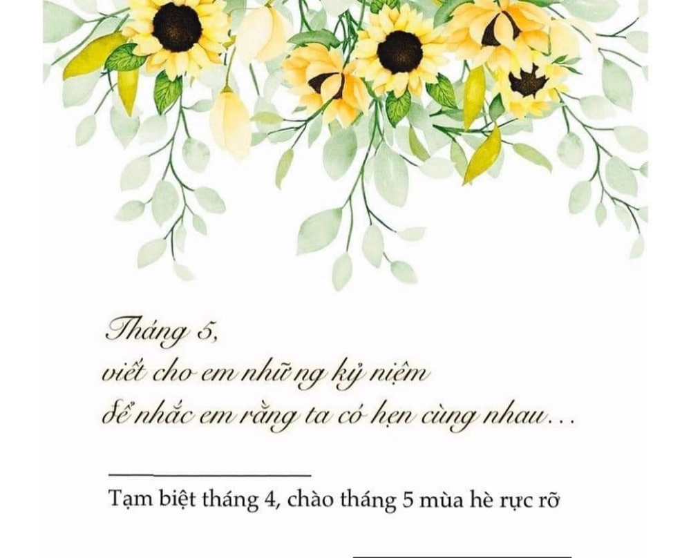 Thơ về tháng 5 lung linh trong Sáng tháng năm
