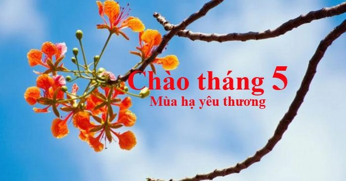 Thơ về tháng 5 ùa về cùng Cảm xúc tháng 5