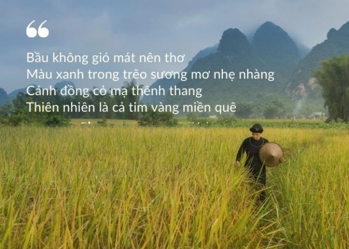 Hành trình du xuân đẹp như bài thơ về vẻ đẹp thiên nhiên