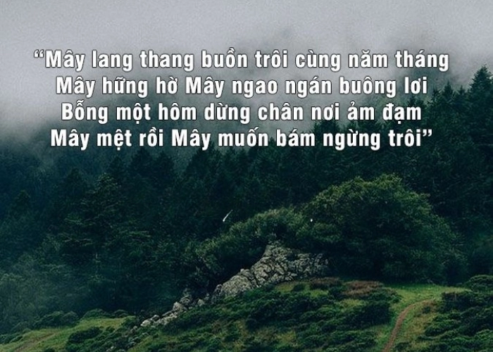Gió lạnh chiều đông vang trong bài thơ về vẻ đẹp thiên nhiên