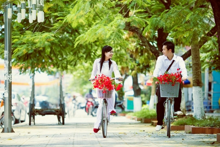 Tôi từng viết vội Gửi cô bé học trò