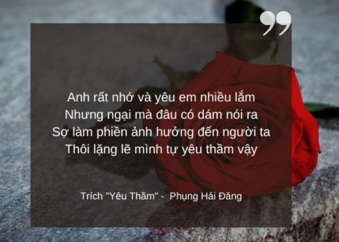 Mối tình câm Đâu hẳn là dang dở