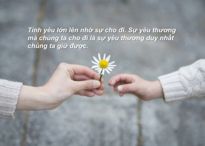 Lan tỏa yêu thương là Tình người