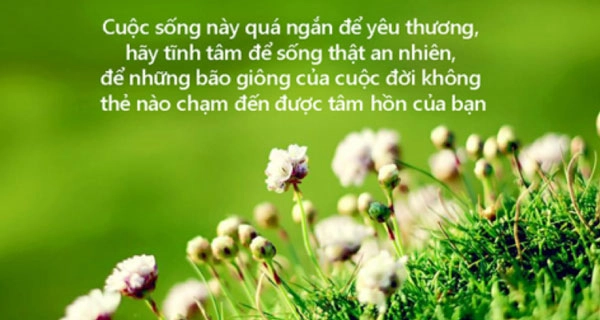 Khắc ghi mãi mãi Cám ơn tình người