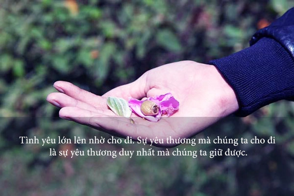 Thơ ngây mà ấm áp Sáng tình người trong tuổi thơ