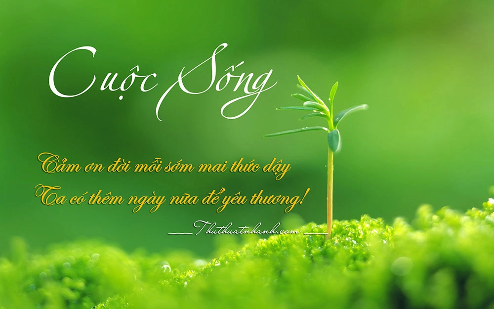 Thắp lên hy vọng Ta hãy sống