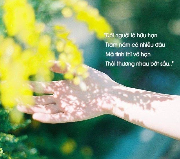 Yêu thương Tôi yêu Vẫn còn có nhau Sống sâu Trả - vay Hoài niệm một tình yêu Mẹ cho con xin câu hát quê mùa Sống yêu thương Hãy sống tốt đẹp Nặng tình người… Về con đường thơ Niệm thiêng Sao không về Vàng ơi? Tình người đất khách Từ quan