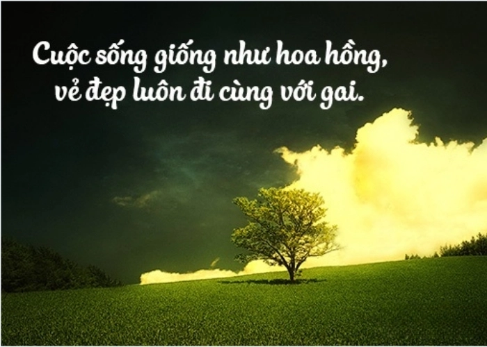 Mỗi khoảnh khắc đều Sống sâu