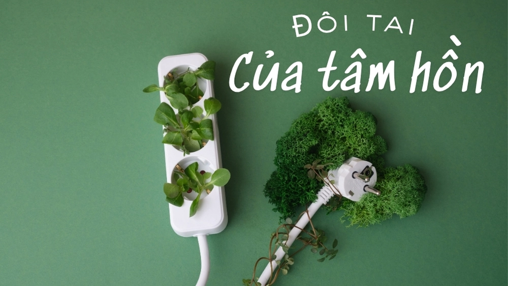 Hình ảnh minh họa từ truyện “Đôi Tai Của Tâm Hồn” – câu chuyện giàu tính nhân văn về sự lắng nghe và thấu hiểu.