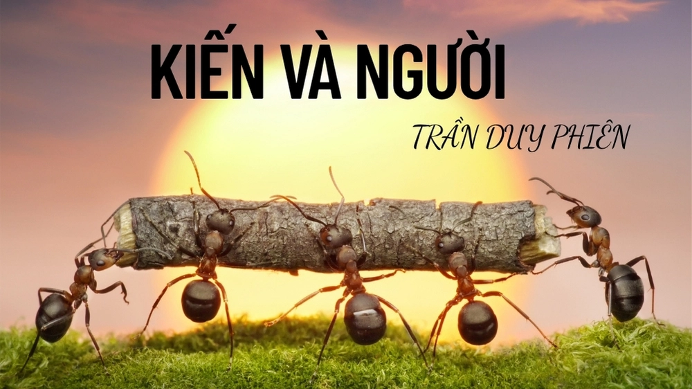 Cốt truyện của kiến và người thể hiện suy tư về đời sống qua góc nhìn loài kiến.