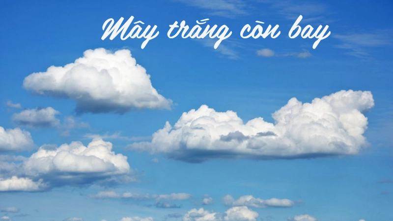Trọn bộ truyện Mây Trắng Còn Bay cảm động và sâu sắc