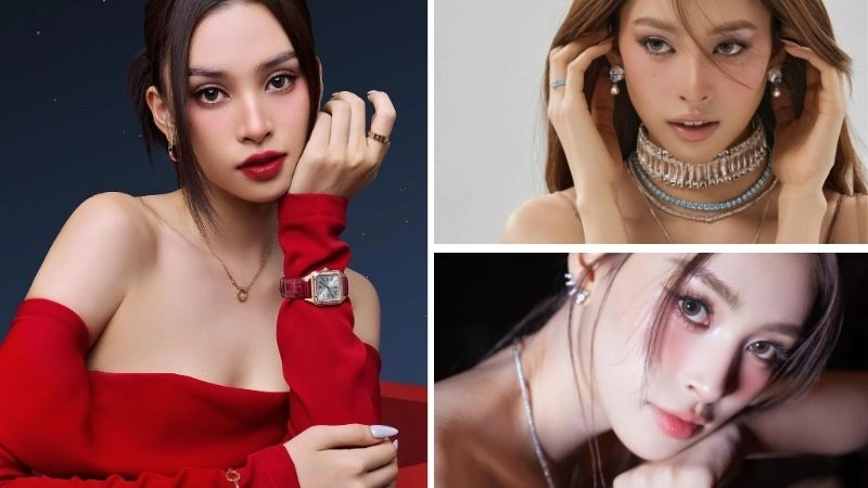 Tiểu sử về Trần Tiểu Vy