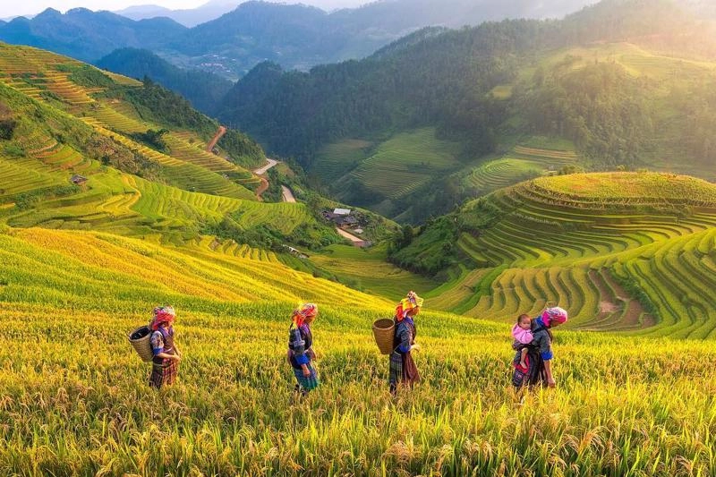 Mây mờ đỉnh núi gọi tên Yên Bái thân thương