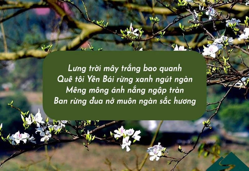 Ngọt ngào câu hát mời anh lên Yên Bái quê em