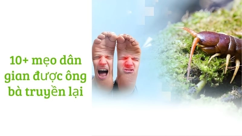 10+ mẹo dân gian được ông bà truyền lại nhiều đời 