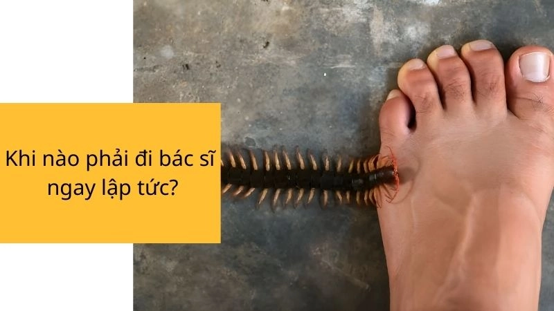 Khi nào phải đi bác sĩ ngay lập tức?