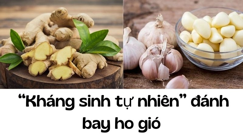 Gừng tươi + tỏi sống – “Kháng sinh tự nhiên” đánh bay ho gió