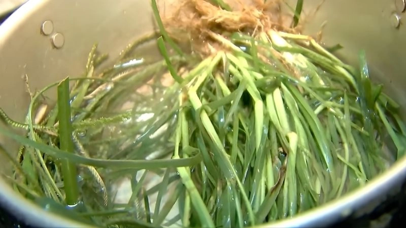 Bài thuốc từ cỏ mần trầu và lá chè tươi trong vườn