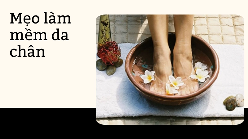 Cách làm mềm da chân bằng thảo dược tự nhiên