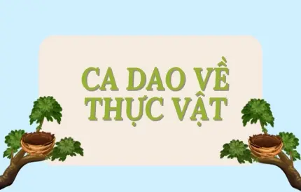 Ca dao về thực vật và sự gắn bó của người Việt với thiên nhiên