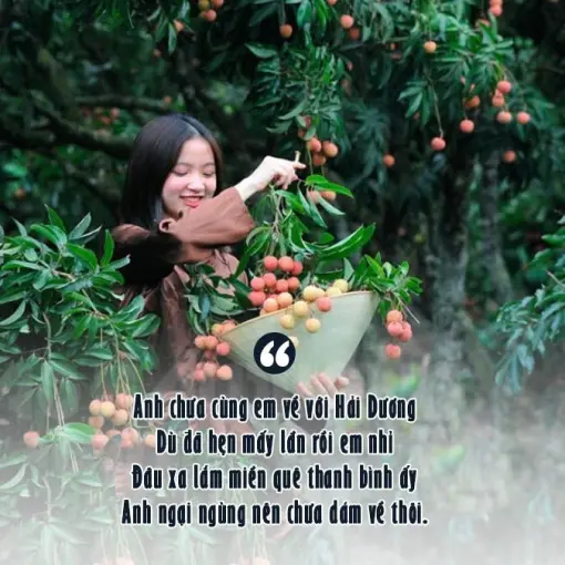 Chùm thơ về Hải Dương chan chứa tình quê hương sâu sắc