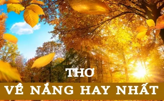 Câu thơ về nắng mang vẻ đẹp bình dị và nhẹ nhàng
