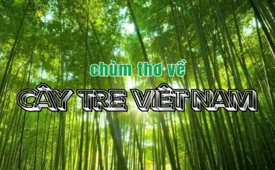 Bài thơ cây tre chan chứa hồn quê và ký ức tuổi thơ