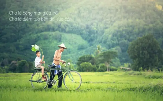Những dòng thơ lặng lẽ gói trọn tình cảm dành cho cha
