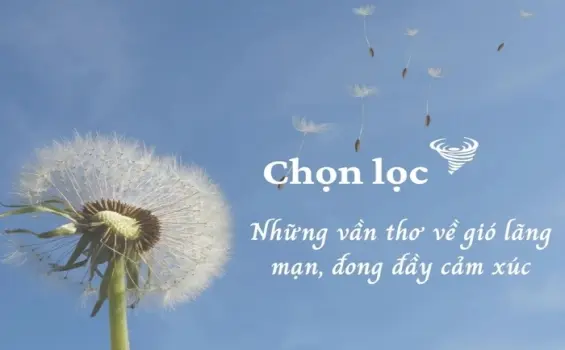 Những bài thơ về gió nhẹ nhàng và đầy chất thơ mộng