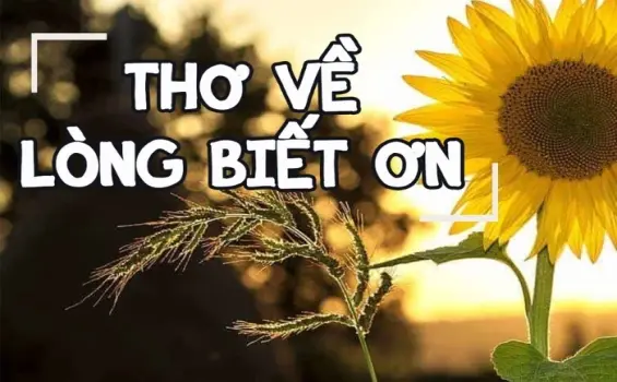 Những câu thơ chạm lòng về sự biết ơn và sẻ chia yêu thương