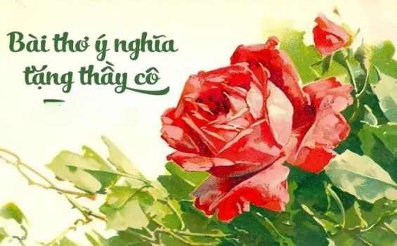 Những bài thơ hay và xúc động nhất về thầy cô giáo