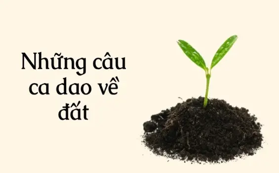 Những câu ca dao về đất hay phản chiếu tâm hồn người Việt