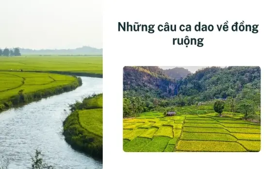 Những câu ca dao về đồng ruộng hay và mùa gặt bội thu