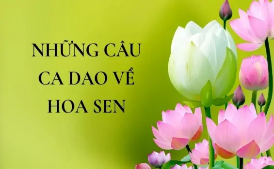 Ca dao về hoa sen và giá trị đạo đức truyền thống của người Việt