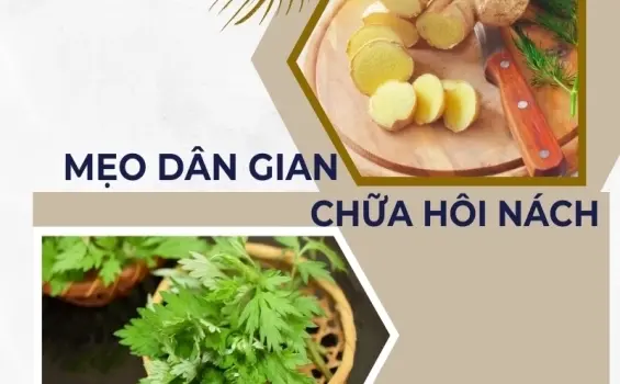Những mẹo chữa hôi nách dân gian giúp bạn tự tin mỗi ngày