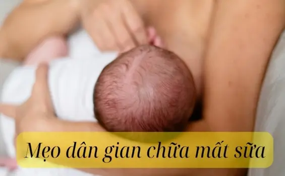 Tổng hợp mẹo dân gian chữa mất sữa an toàn cho mẹ bỉm
