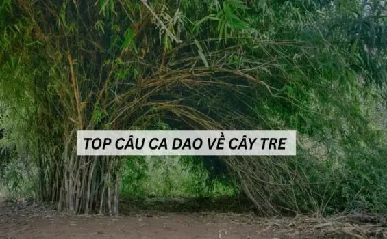 Những câu ca dao về cây tre thể hiện tinh thần dân tộc Việt