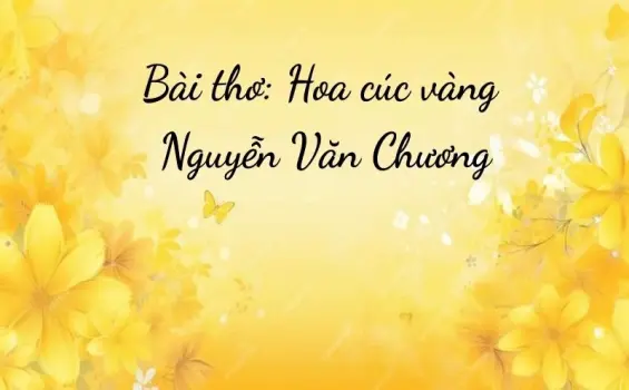 Bài thơ Hoa cúc vàng (Nguyễn Văn Chương) - Chủ đề thơ trường mầm non