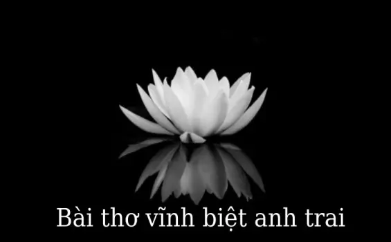 Tuyển tập bài thơ vĩnh biệt anh trai lay động lòng người