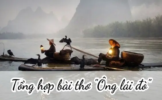 Tổng hợp bài thơ "Ông lái đò" và người lái đò bền bỉ