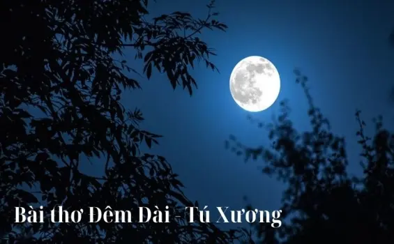 Cảm nhận sâu sắc về bài thơ Đêm Dài của Trần Tế Xương